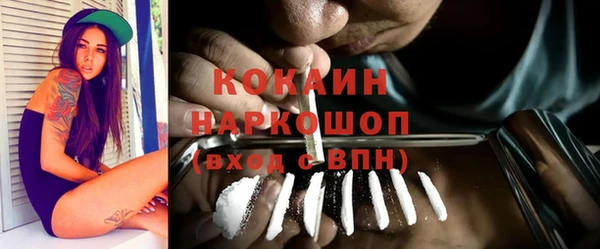 прущие грибы Няндома