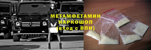 прущие грибы Няндома