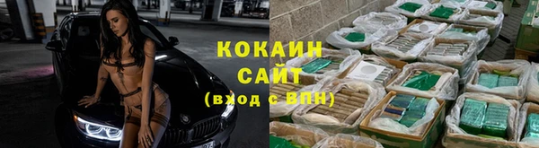 прущие грибы Няндома