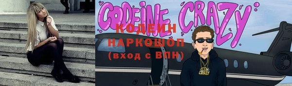 прущие грибы Няндома