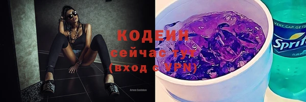 прущие грибы Няндома