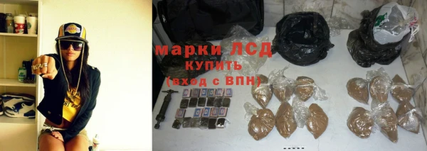 прущие грибы Няндома