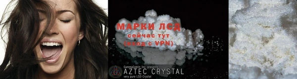 прущие грибы Няндома