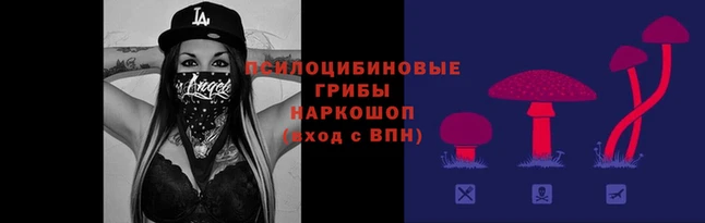 a pvp Нязепетровск