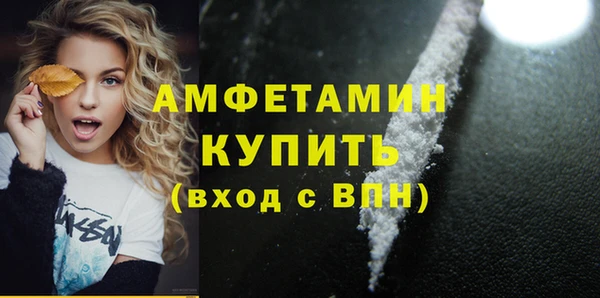 прущие грибы Няндома