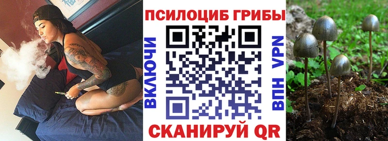 Псилоцибиновые грибы Psilocybine cubensis  закладки  Калязин 