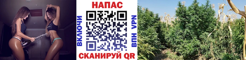 где найти наркотики  Калязин  Канабис марихуана 